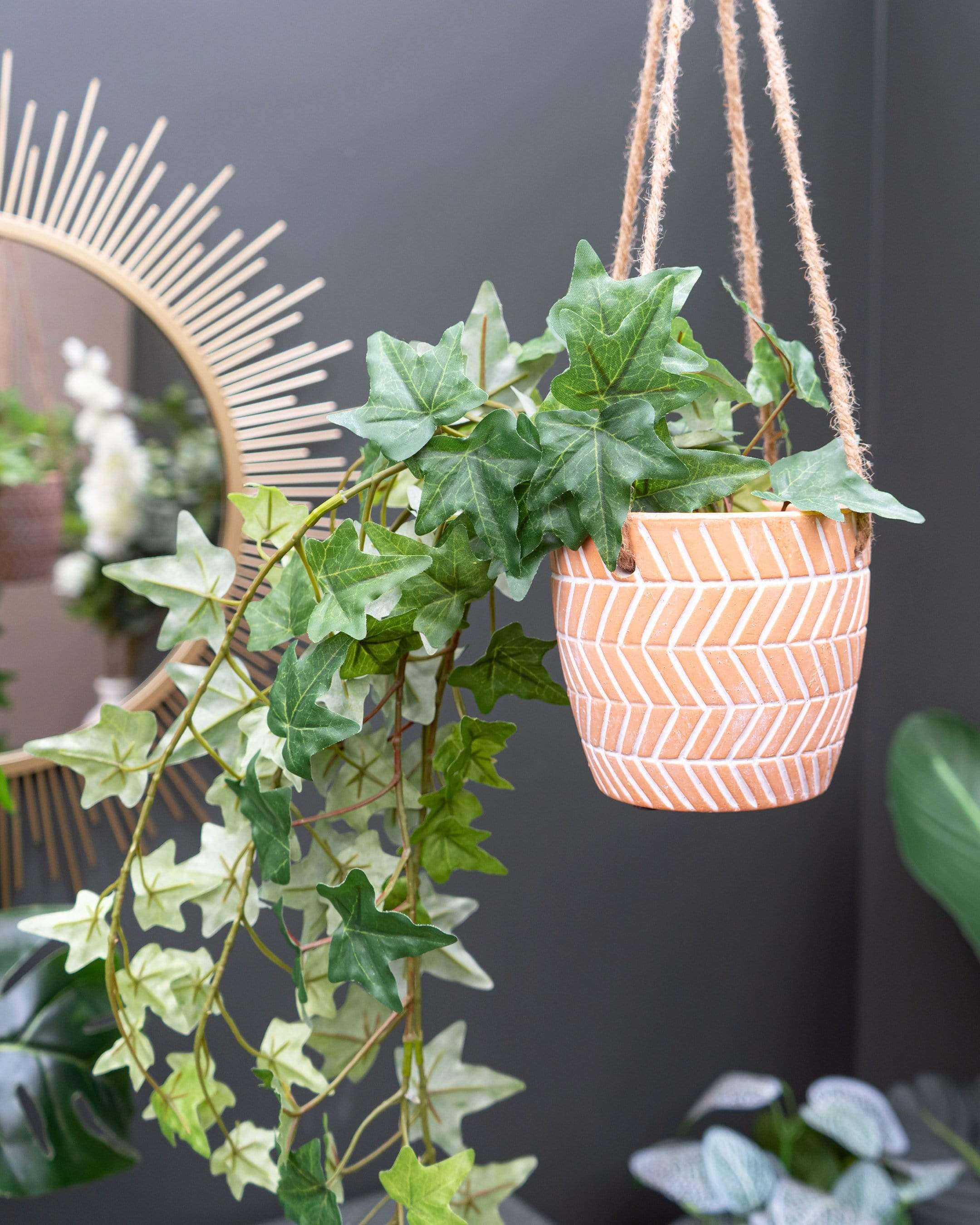 Trailing Ivy Plant in Ceramic Pot (MO) 1PK - Candlelight Home