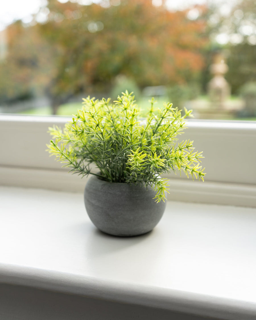 Mini Artificial Rosemary in Paper Pot