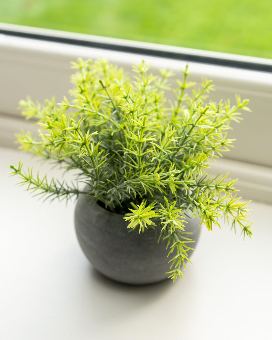 Mini Artificial Rosemary in Paper Pot