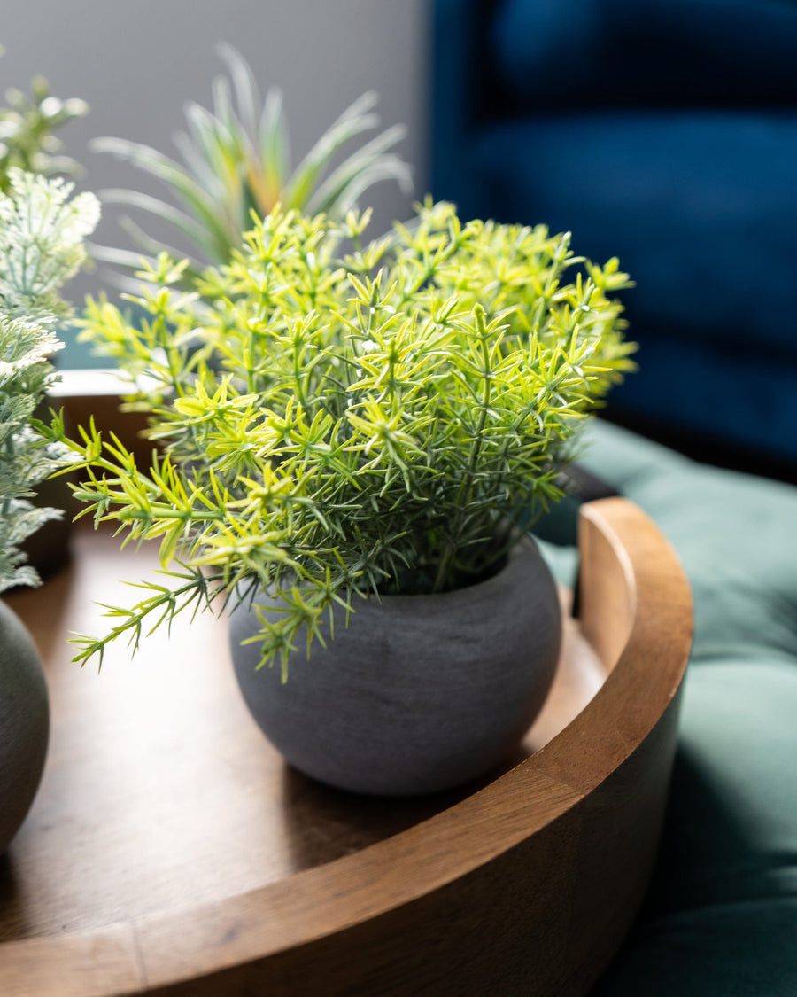 Mini Artificial Rosemary in Paper Pot