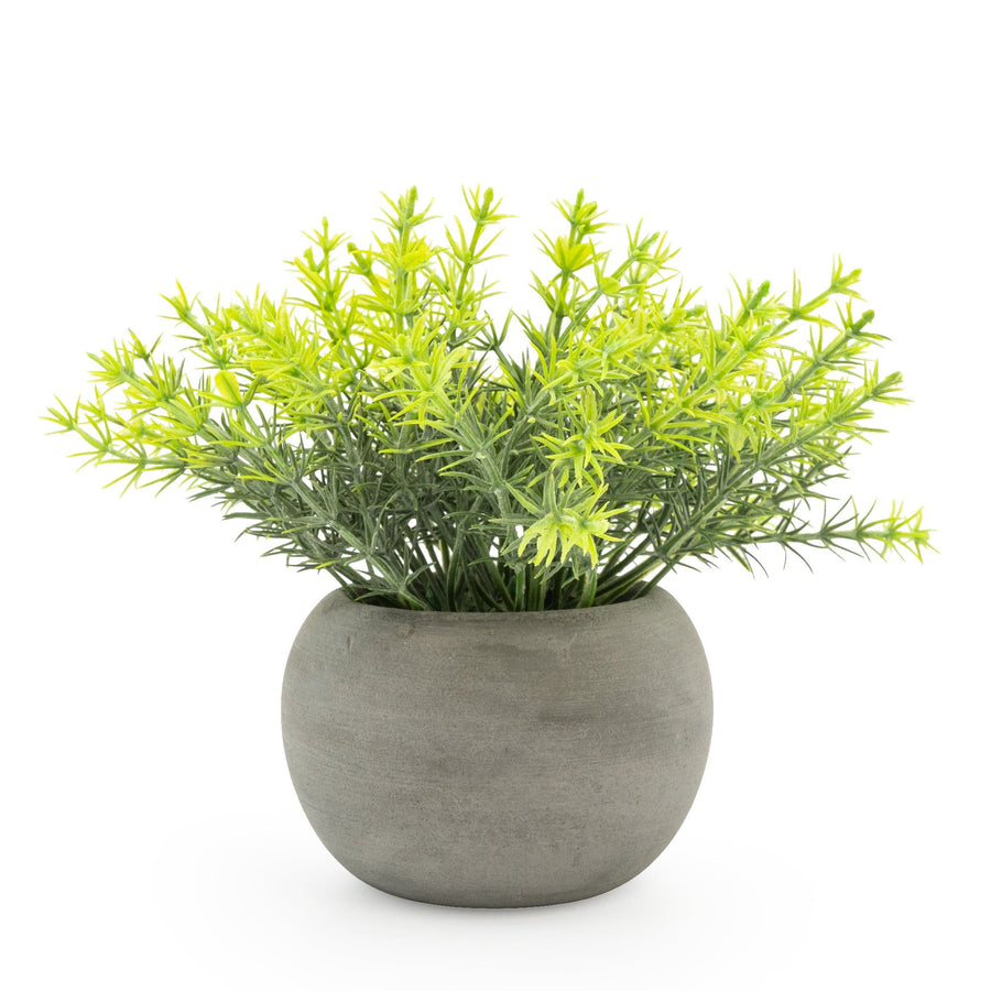 Mini Artificial Rosemary in Paper Pot