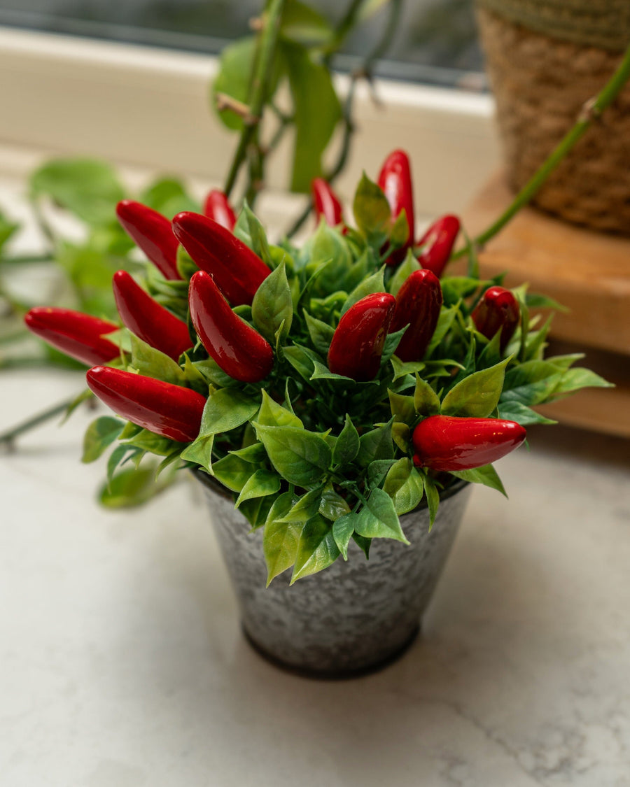 Artificial Chilli Plant in Tin Pot