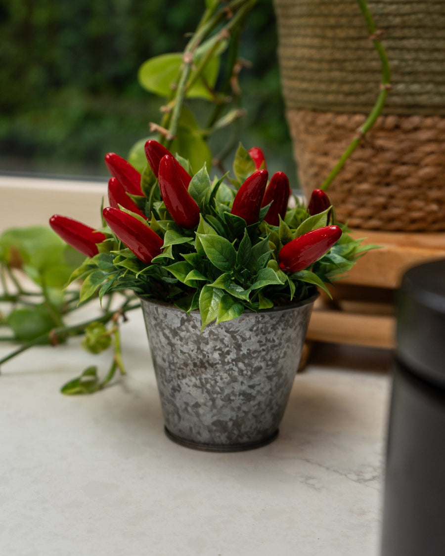 Artificial Chilli Plant in Tin Pot