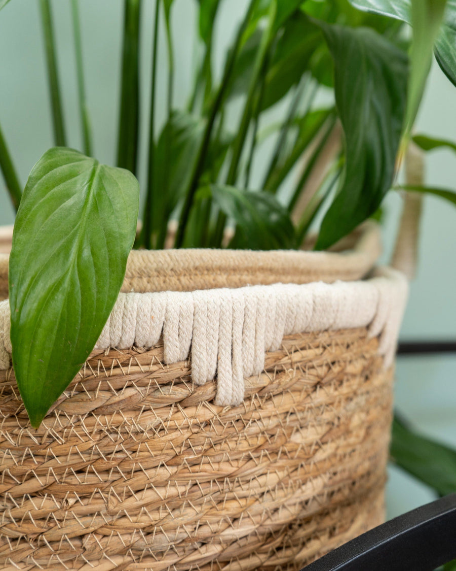 Set of 2 Straw Baskets with Handles