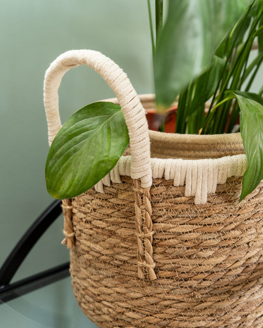 Set of 2 Straw Baskets with Handles