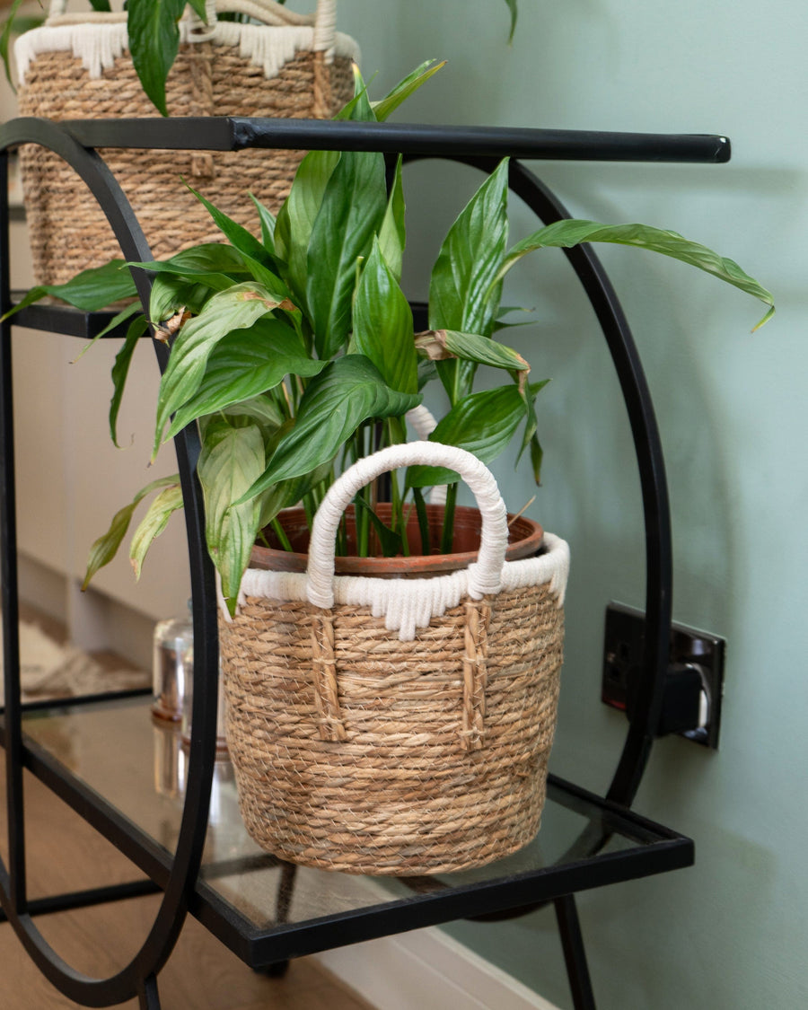 Set of 2 Straw Baskets with Handles