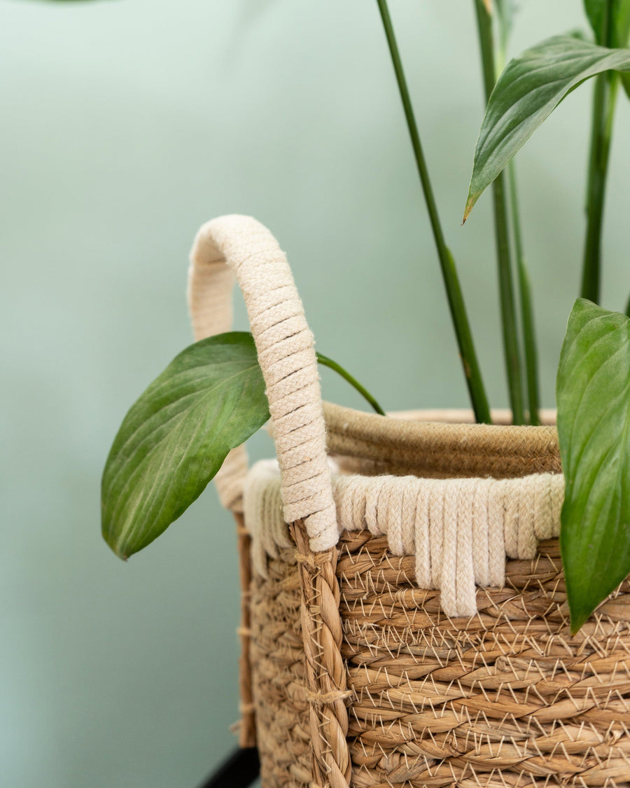 Set of 2 Straw Baskets with Handles