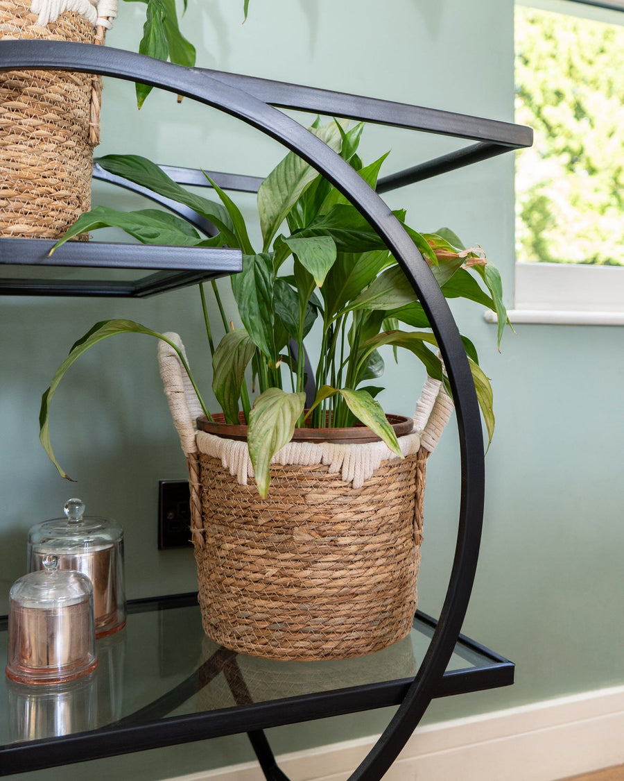 Set of 2 Straw Baskets with Handles