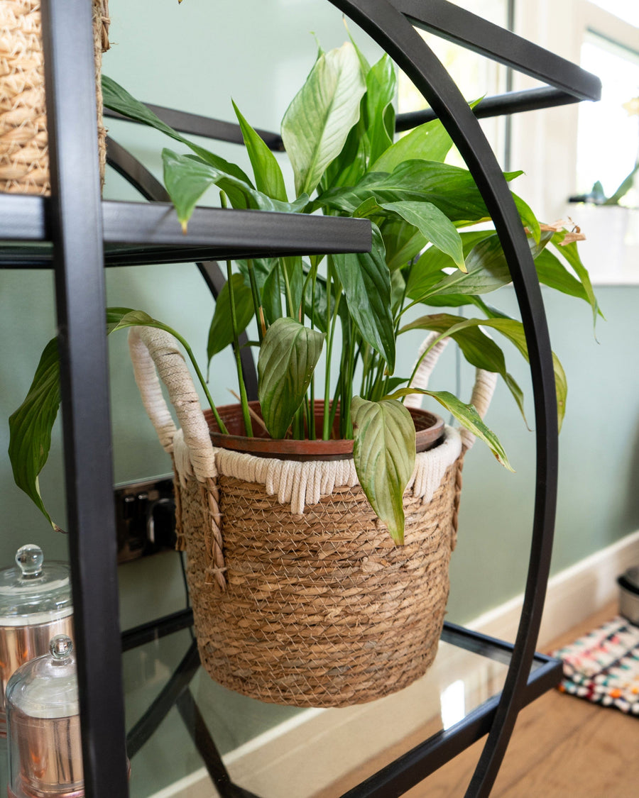 Set of 2 Straw Baskets with Handles