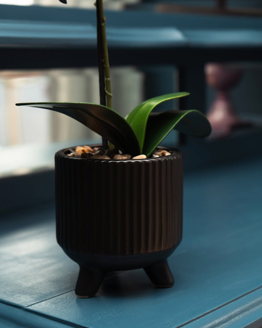 Artificial Black Orchid in Matt Black Ceramic Footed Pot
