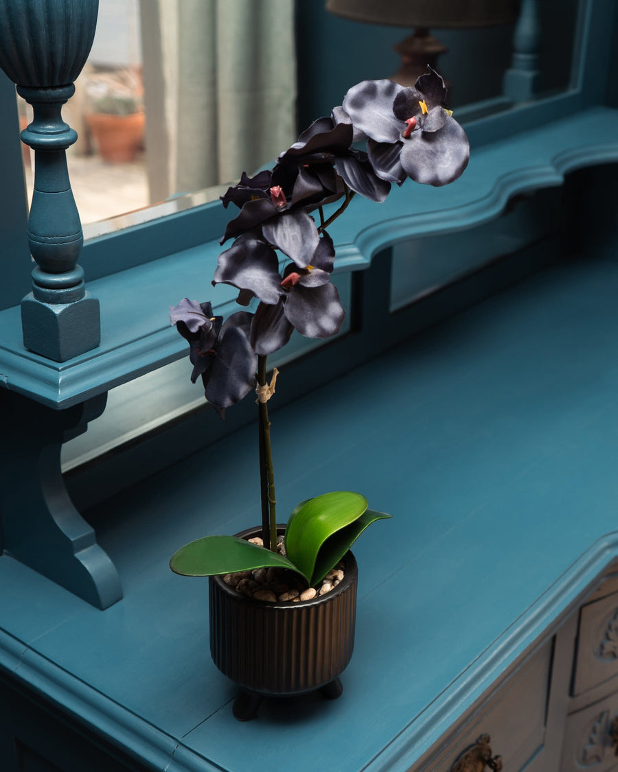 Artificial Black Orchid in Matt Black Ceramic Footed Pot